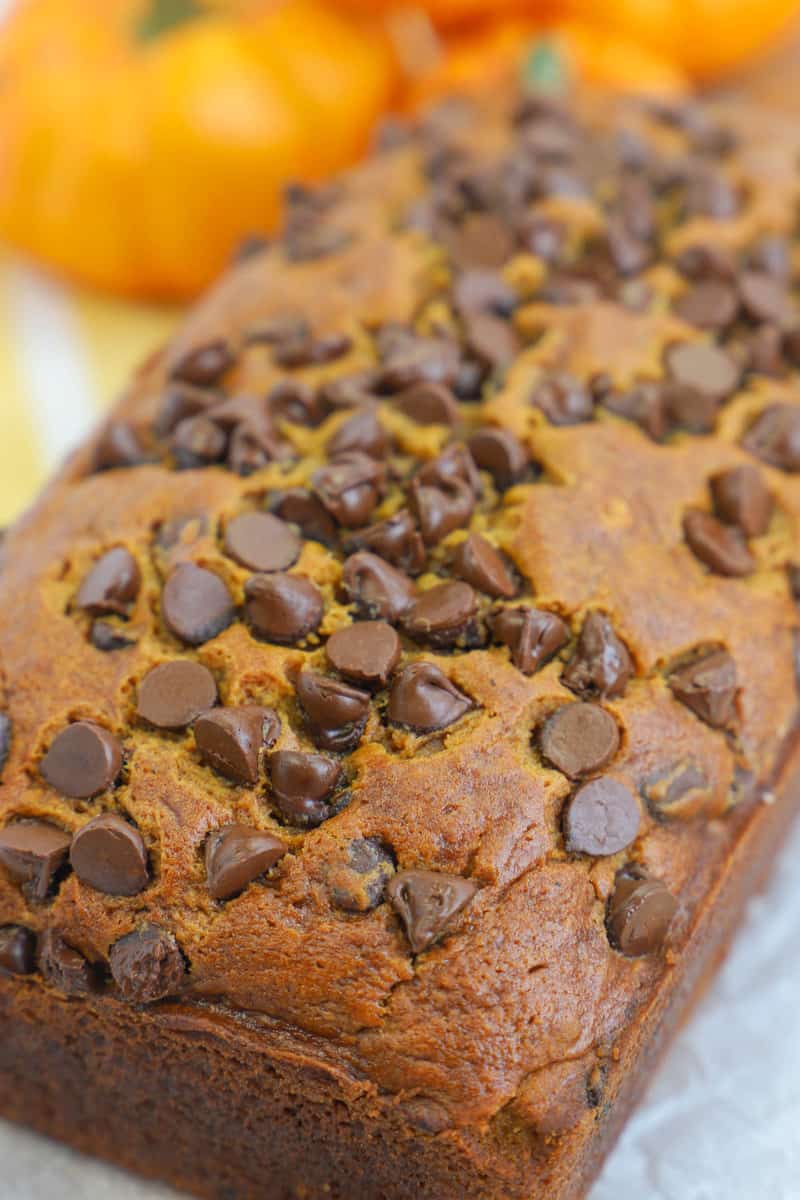 closeup of chocolate chip pumpkin bread