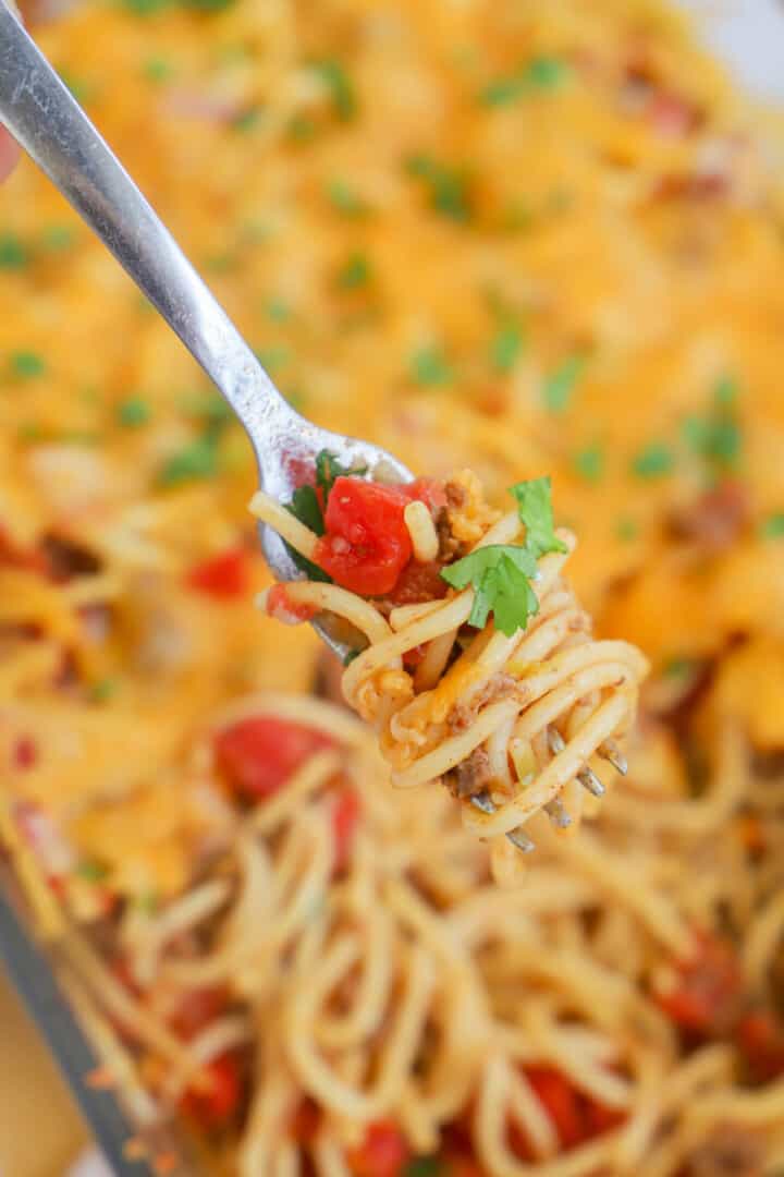 taco spaghetti twirled on fork