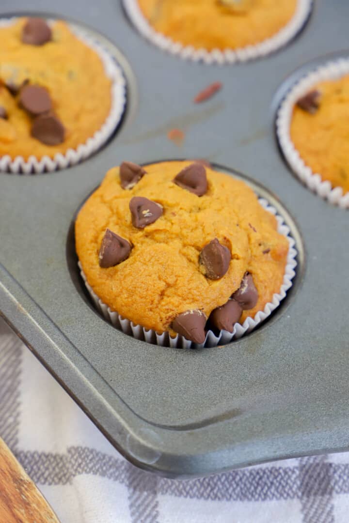 chocolate chip pumpkin muffins baked in muffin tin.