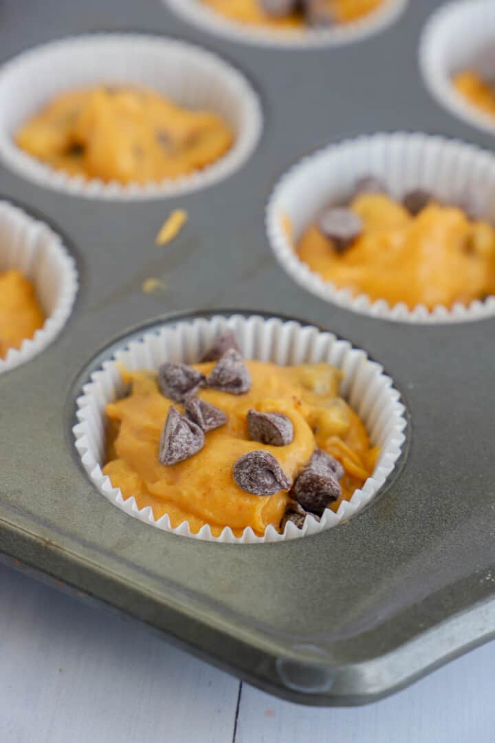 chocolate chip pumpkin muffins in muffin tin