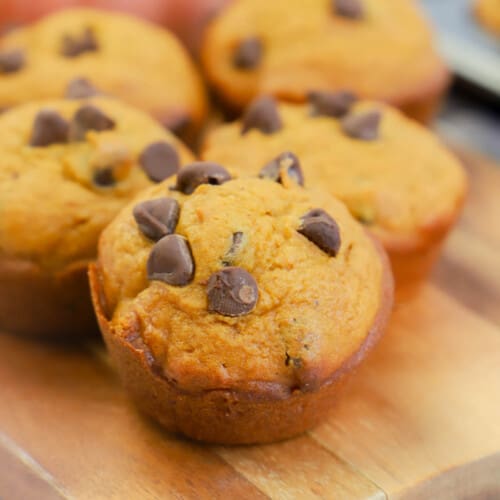 Chocolate Chip Pumpkin Muffins