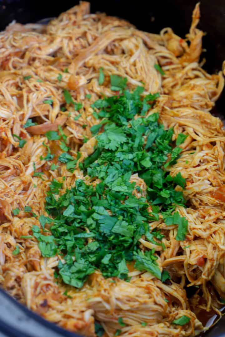 adding cilantro to the chicken