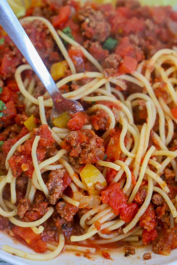 spaghetti twirled on a fork