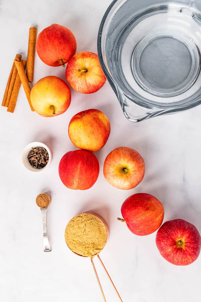 ingredients for slow cooker apple cider