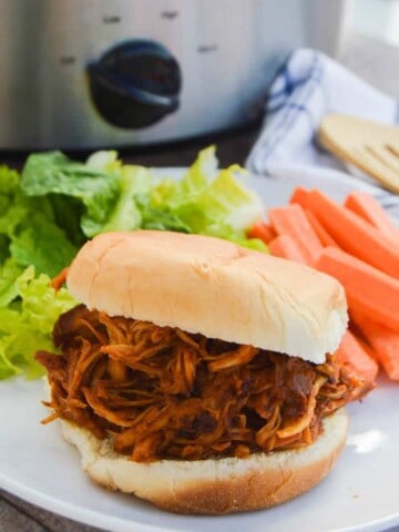 slow cooker bbq chicken