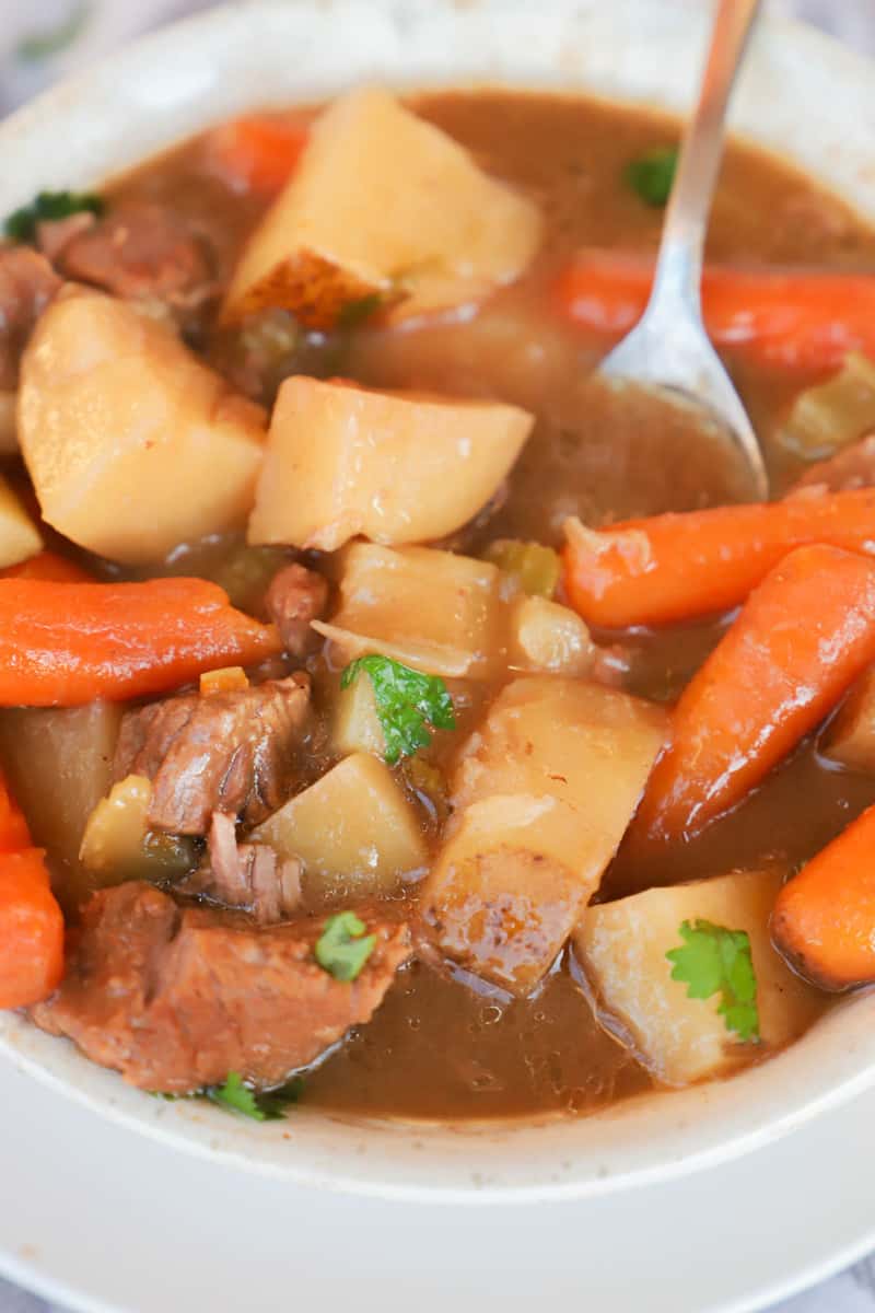 beef stew closeup in white bowl