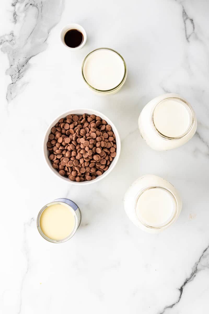 ingredients for slow cooker hot chocolate