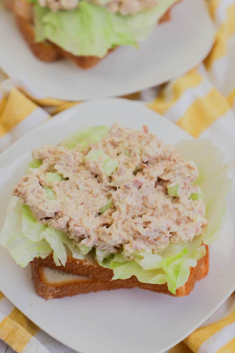 Tuna Salad sandwich on white plate