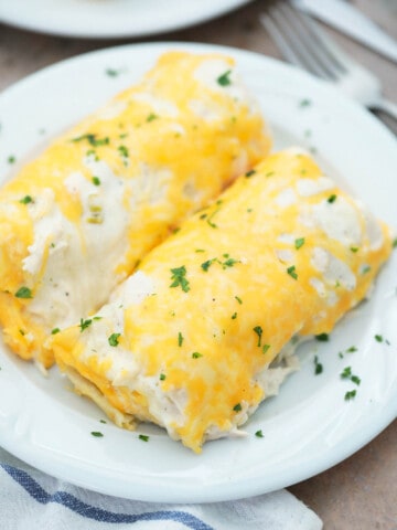 Sour Cream Chicken Enchiladas