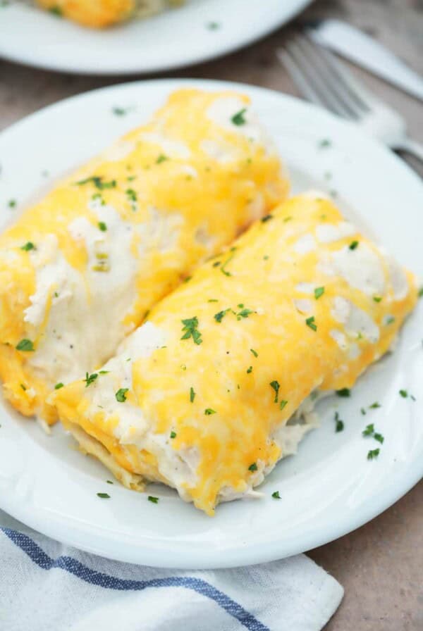 Sour Cream Chicken Enchiladas