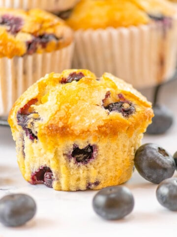 Blueberry Muffins