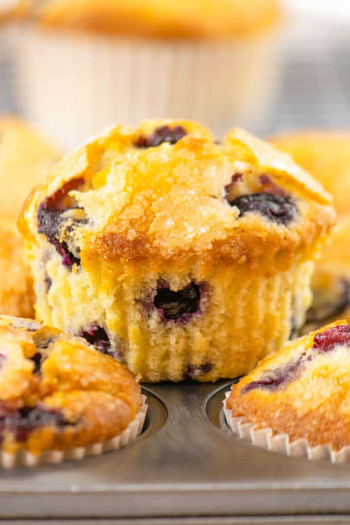 closeup of blueberry muffin sitting on muffin tin