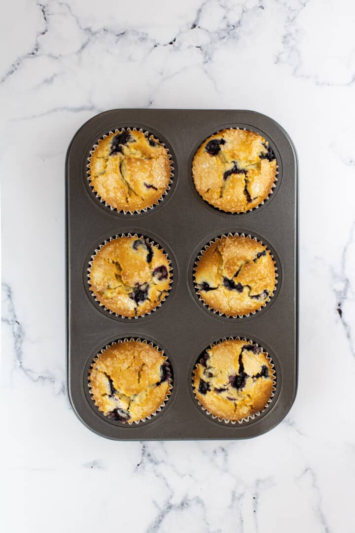 Lemon Blueberry Muffins baked in muffin pan