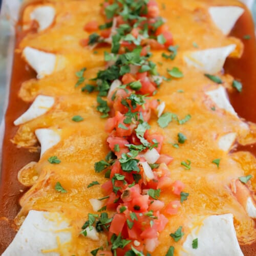 Pulled Pork Enchiladas