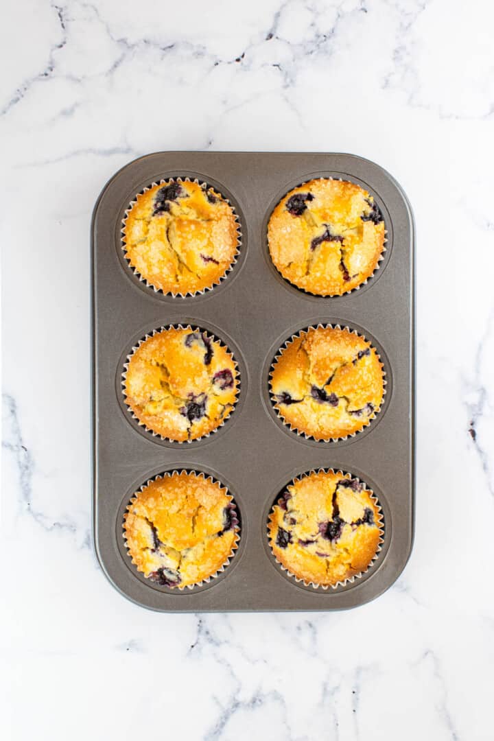 baked blueberry muffins in muffin tin.