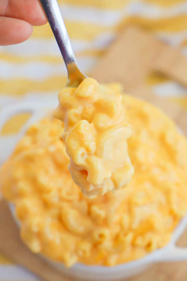 close up of mac and cheese on a spoon