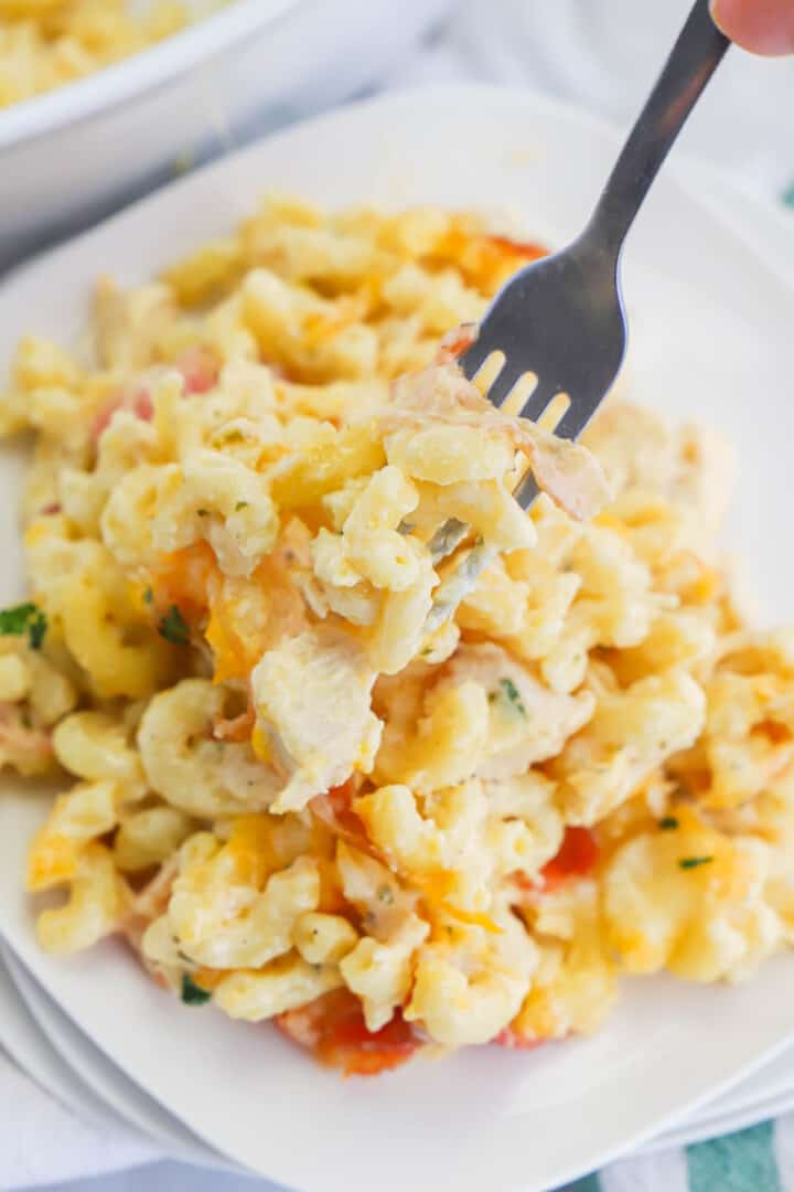 using fork to scoop bacon mac and cheese.