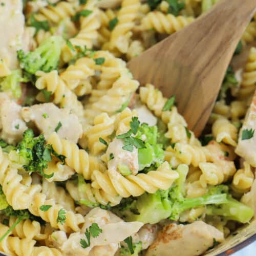 Chicken Broccoli Alfredo