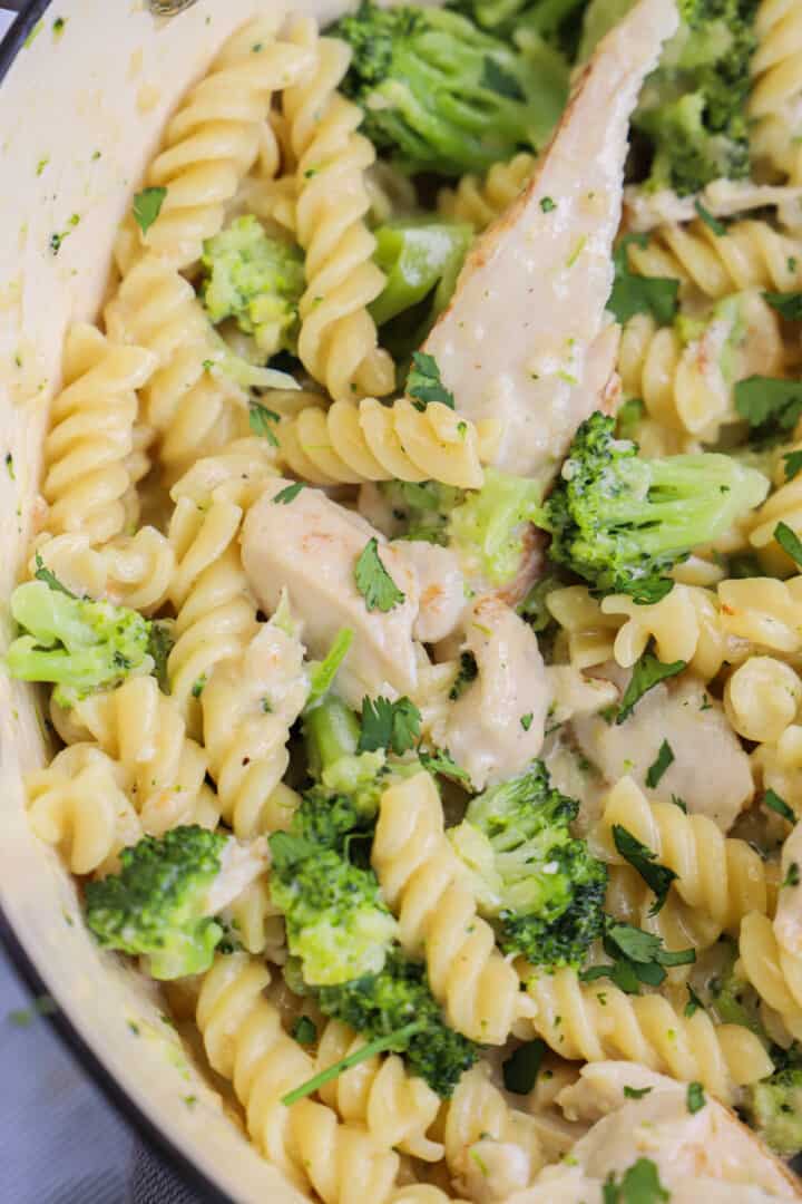 closeup of chicken broccoli alfredo in large pot.