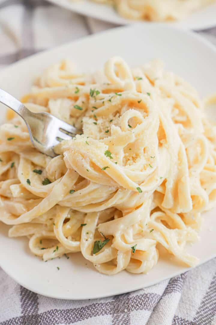 closeup of fettuccini alfredo on white plate.