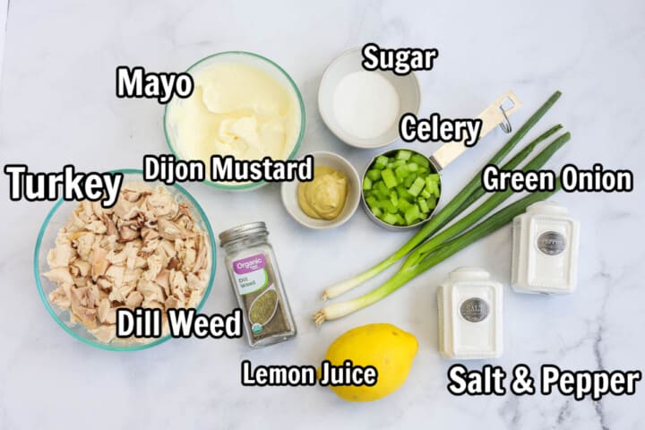 ingredients for turkey salad.