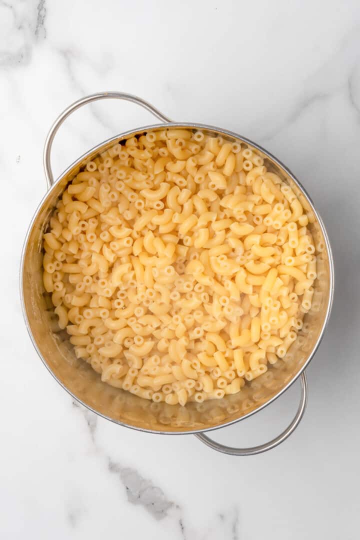 cooked noodles in large pot.