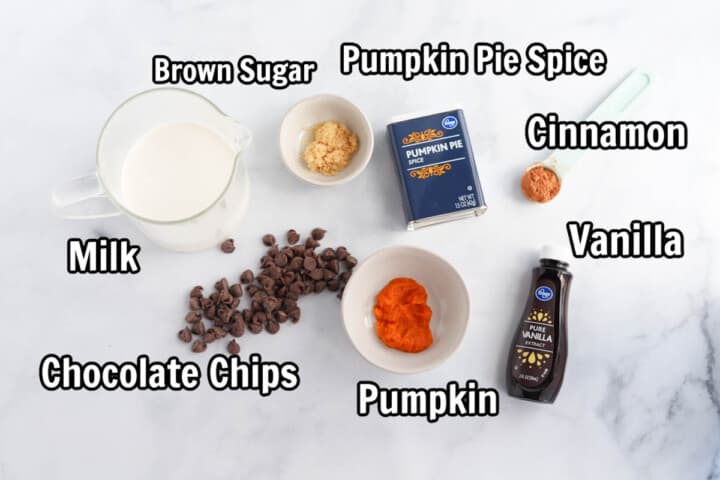 ingredients for pumpkin spice hot chocolate.