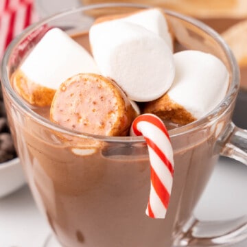 Peppermint Hot Chocolate