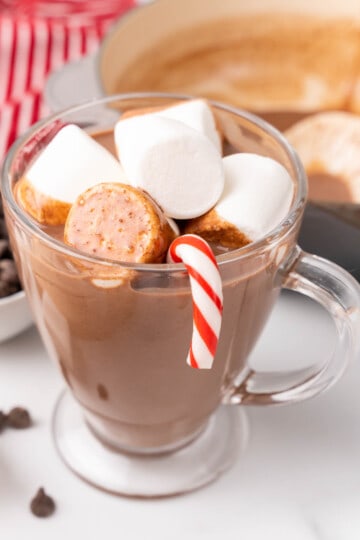 Peppermint Hot Chocolate • The Diary of a Real Housewife