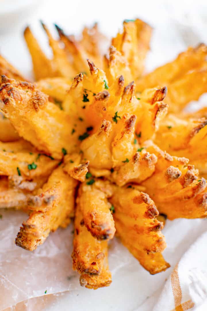 closeup of Air fryer Blooming Onion.