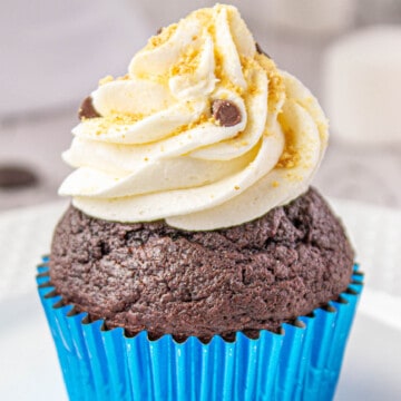 S'mores Cupcakes