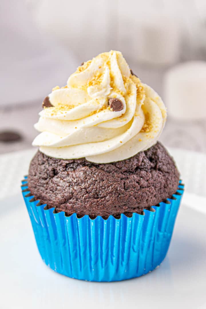 Smores Cupcakes on white plate in blue cupcake liner.