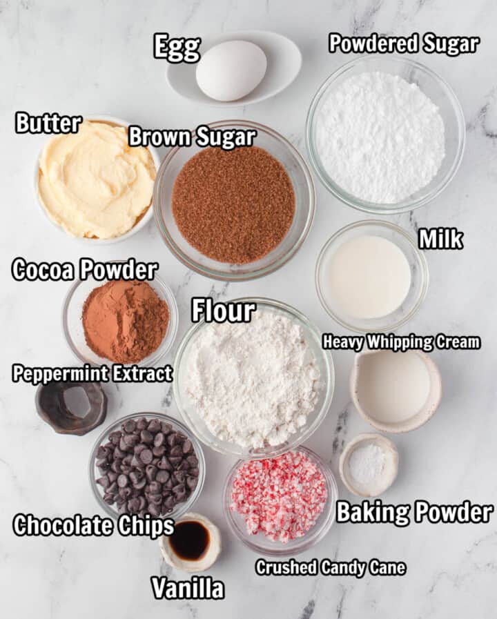 ingredients for Chocolate Peppermint Cookies.