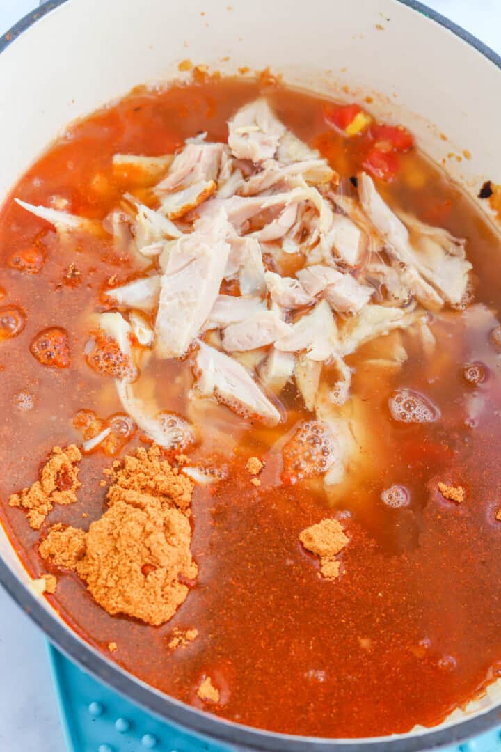 adding chicken and spices to the soup.