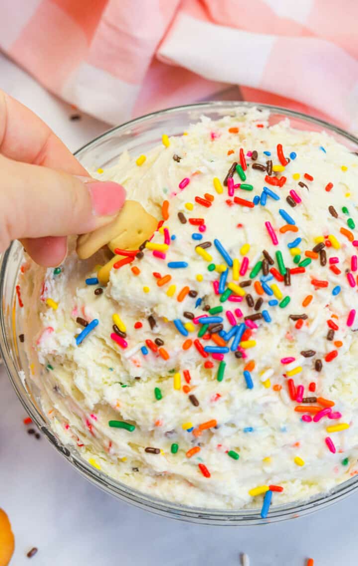 eating Funfetti dip with animal cracker.