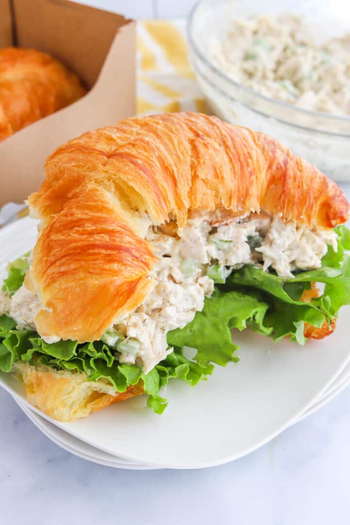 closeup of rotisserie chicken salad.