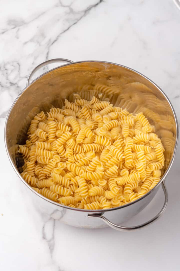 cooking the rotini noodles in a large pot.