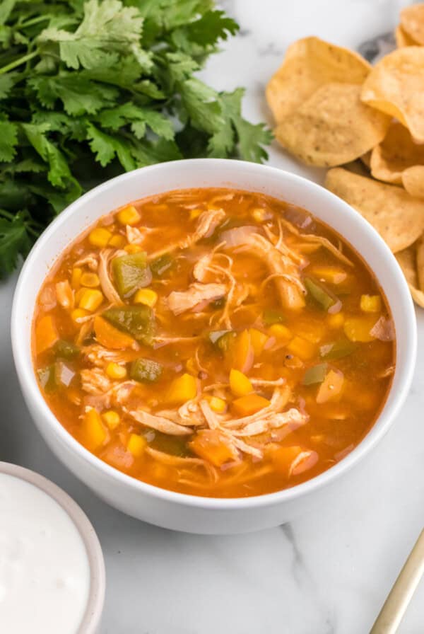 Chicken Fajita Soup