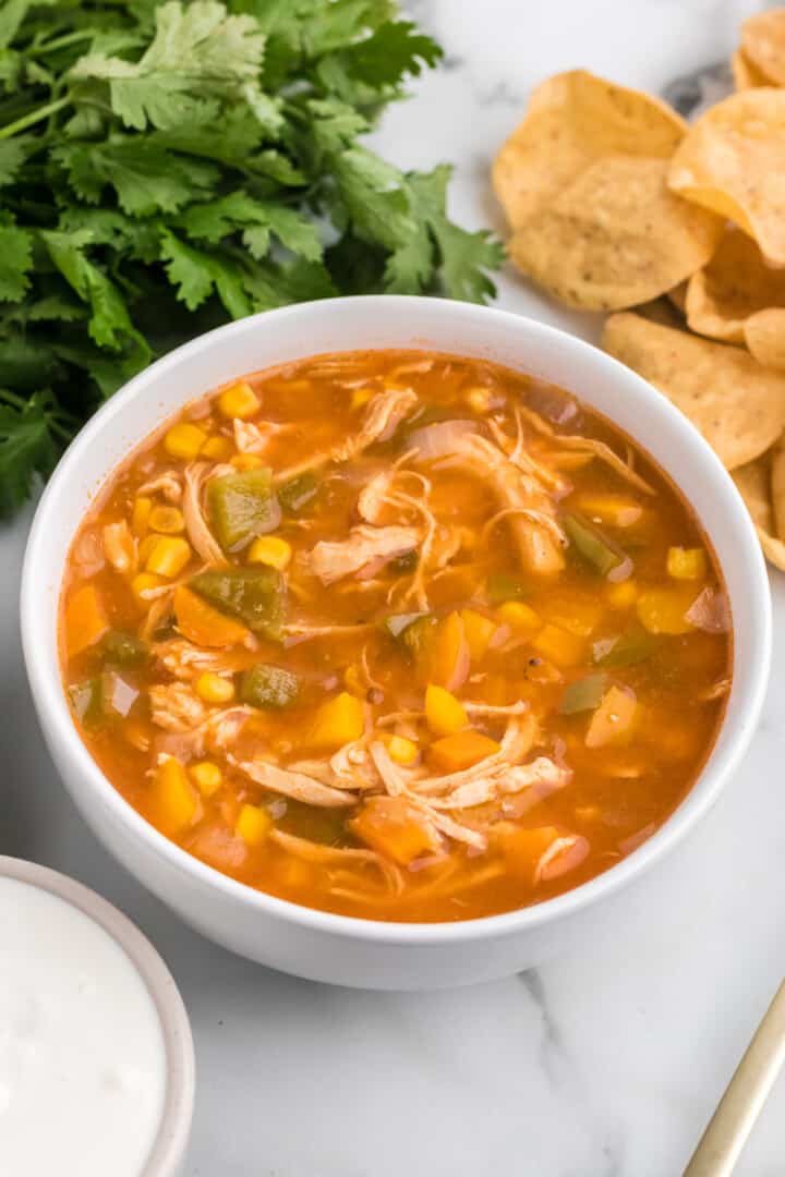 Chicken Fajita Soup in white bowl.