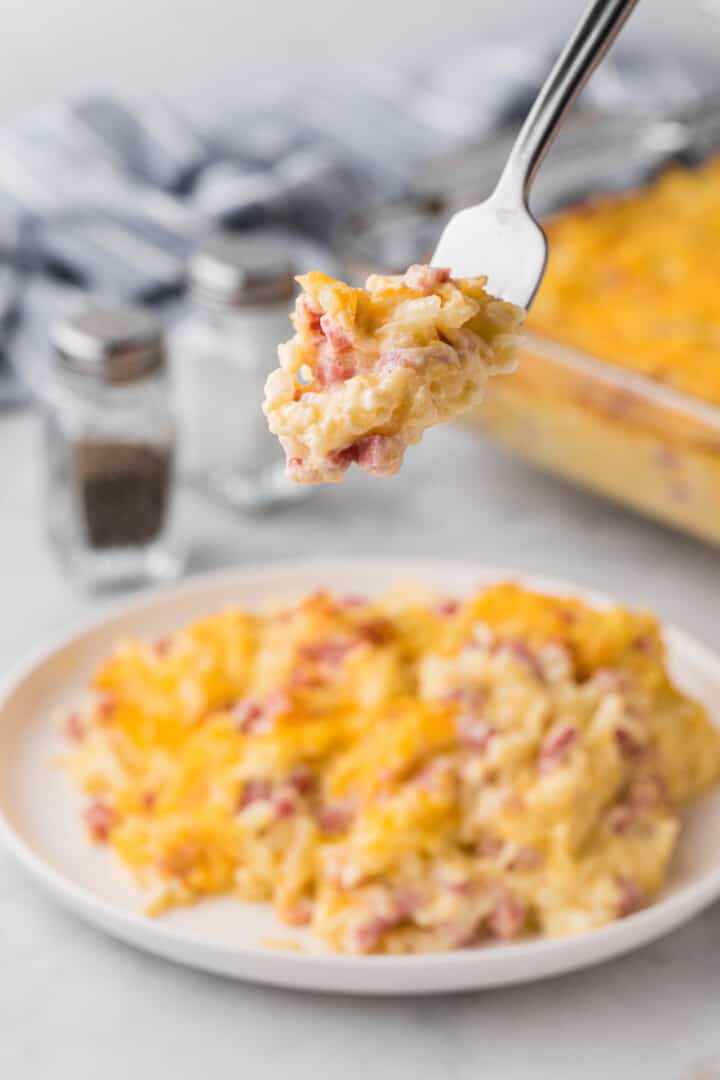 eating the casserole off the white plate with a fork.