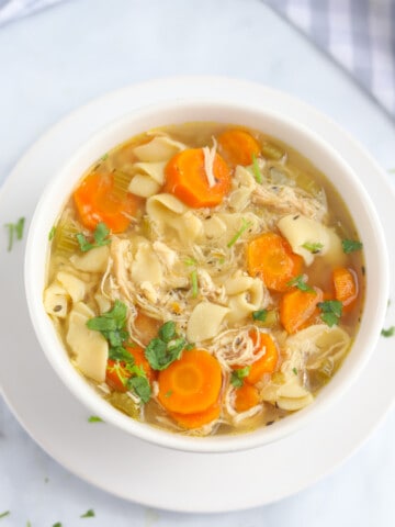 Slow Cooker Chicken Noodle Soup