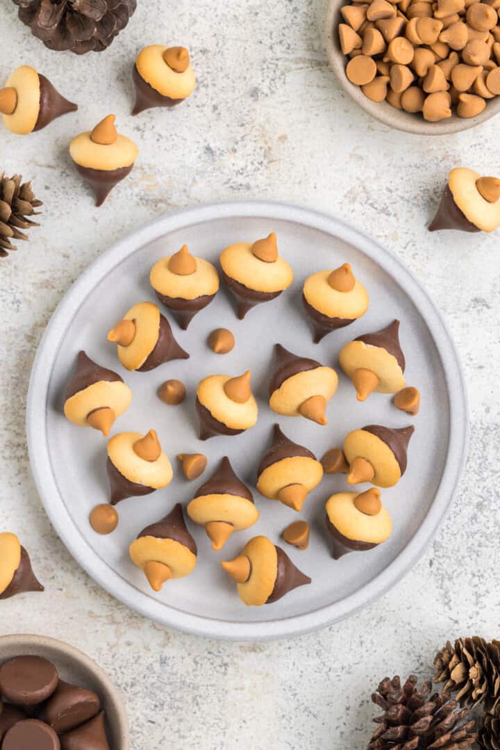 Acorn Cookies on white plate for serving.