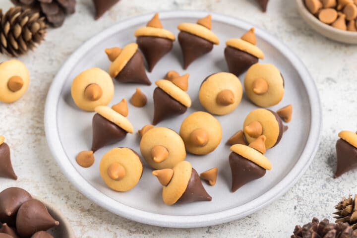 Acorn Cookies on white serving plate.