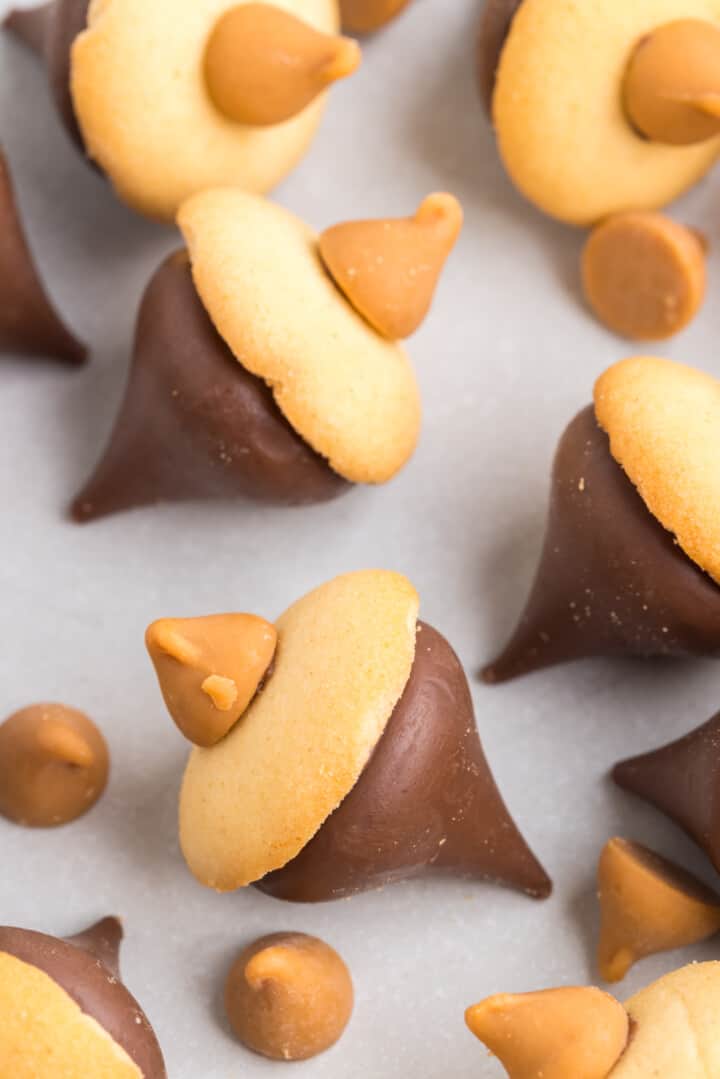 closeup of Acorn Cookies.