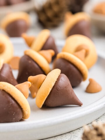 Acorn Cookies