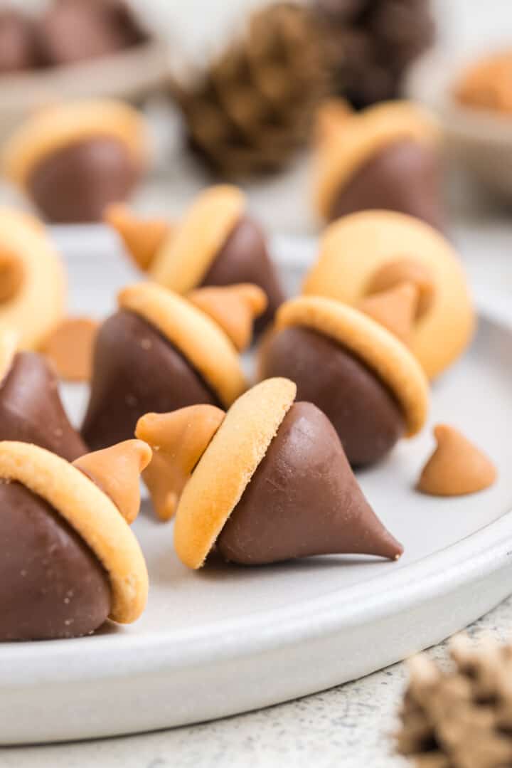 Acorn Cookies closeup on white serving plate.