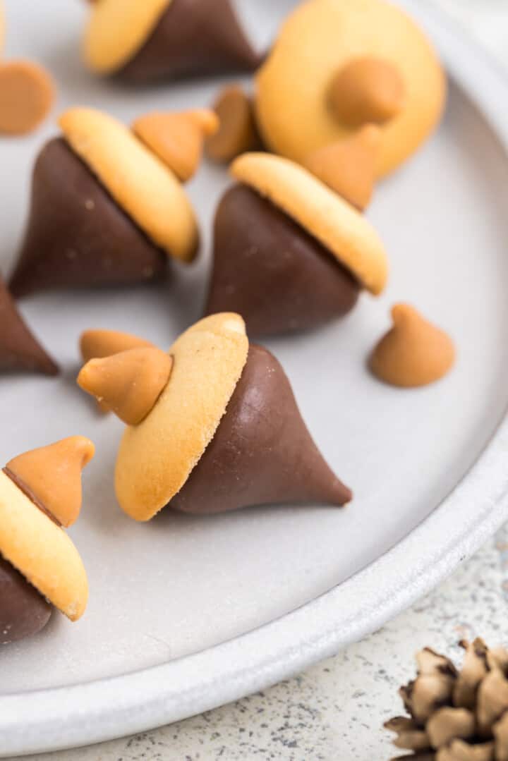 closeup of Acorn Cookies.