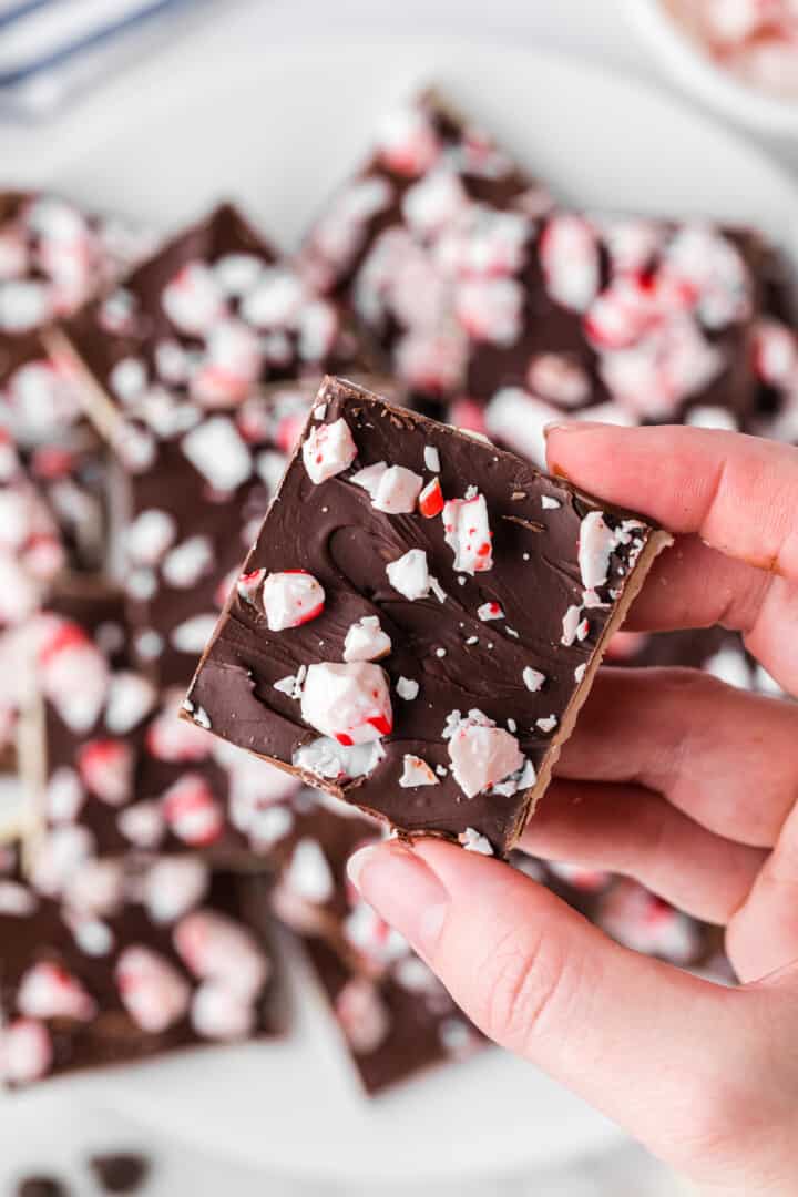 a piece of the peppermint bark in hand for a closeup.