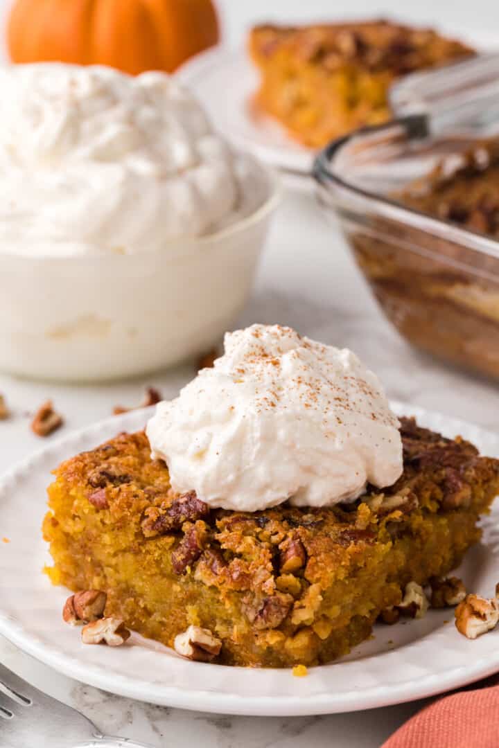 Pumpkin Crunch Cake on white plate topped with whipped cream.
