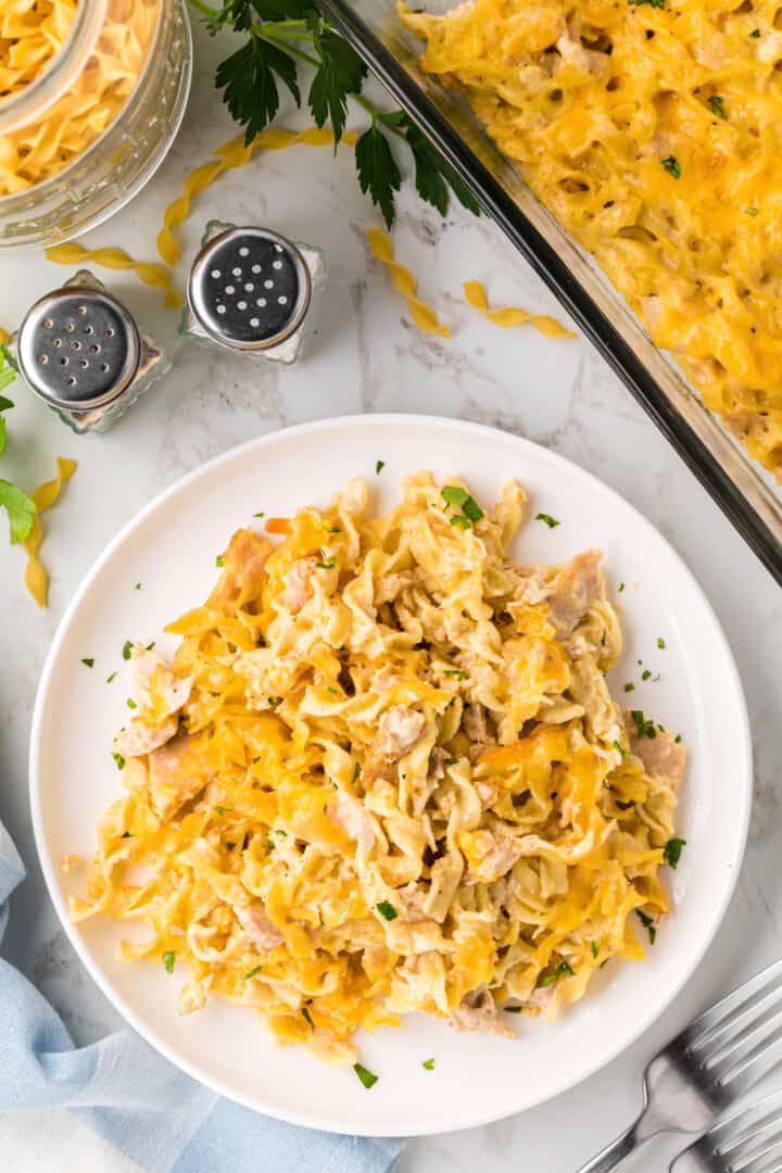 tuna casserole served on a white dinner plate.